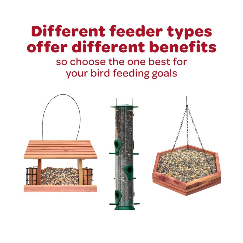 Kaytee Cardinal Wild Bird Seed, 7 lb - Image 5